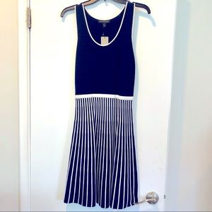 Petite Banana Republic Flared Knit Dress